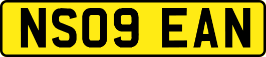 NS09EAN