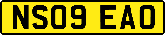 NS09EAO