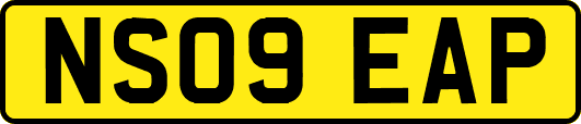 NS09EAP