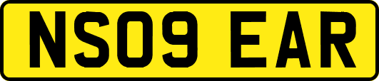 NS09EAR