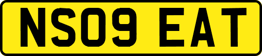 NS09EAT