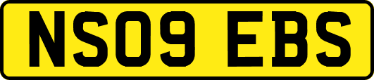 NS09EBS