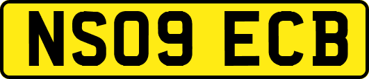 NS09ECB