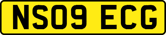 NS09ECG