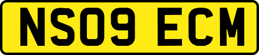 NS09ECM
