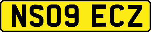 NS09ECZ