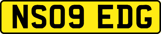NS09EDG