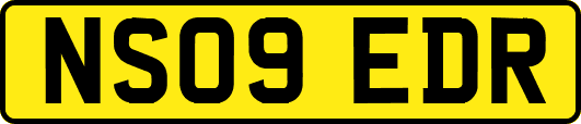 NS09EDR