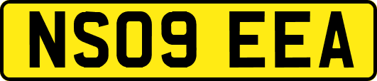 NS09EEA