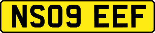 NS09EEF