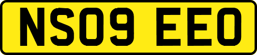 NS09EEO