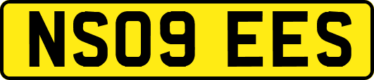 NS09EES