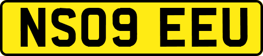 NS09EEU