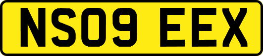 NS09EEX