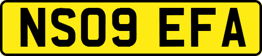 NS09EFA