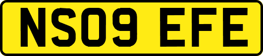 NS09EFE