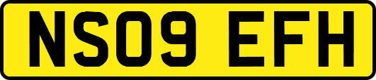 NS09EFH