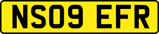 NS09EFR
