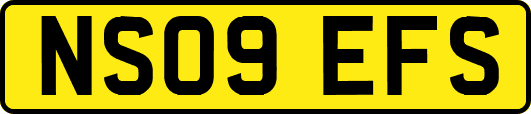 NS09EFS
