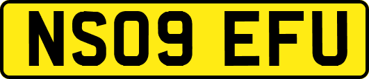 NS09EFU