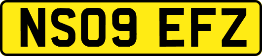 NS09EFZ