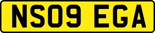 NS09EGA
