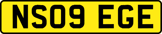 NS09EGE