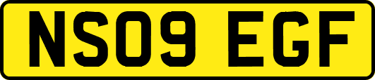 NS09EGF