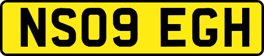 NS09EGH