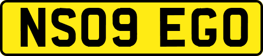 NS09EGO
