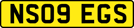NS09EGS
