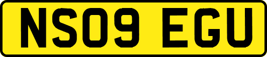 NS09EGU