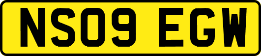 NS09EGW