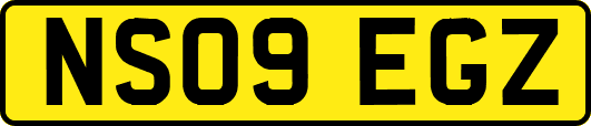 NS09EGZ