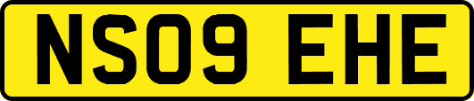 NS09EHE