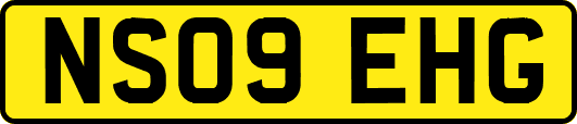 NS09EHG
