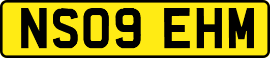 NS09EHM