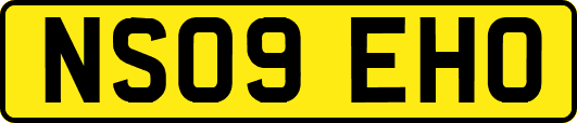 NS09EHO