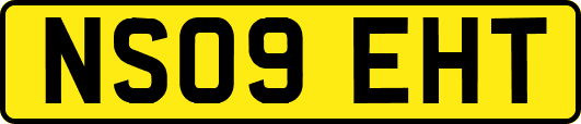 NS09EHT