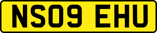 NS09EHU