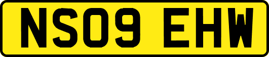 NS09EHW