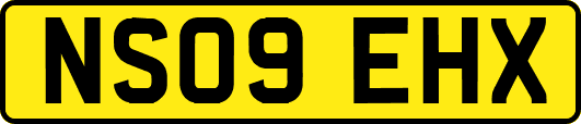 NS09EHX