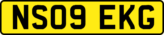 NS09EKG
