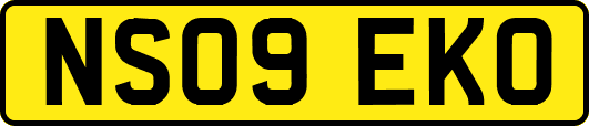 NS09EKO