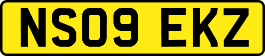 NS09EKZ