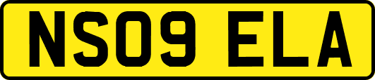 NS09ELA