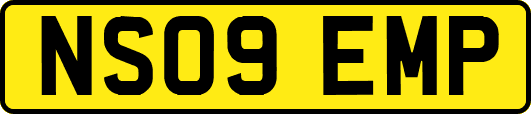 NS09EMP