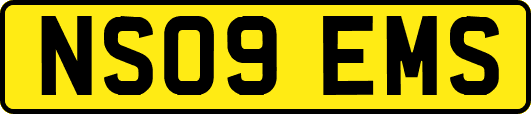 NS09EMS