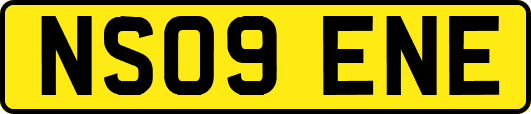 NS09ENE