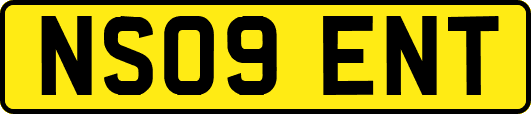 NS09ENT